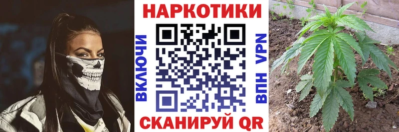 Как найти наркотики Ветлуга блэк спрут как зайти  Cocaine  Меф мяу мяу  Гашиш 