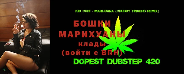 индика Новокубанск