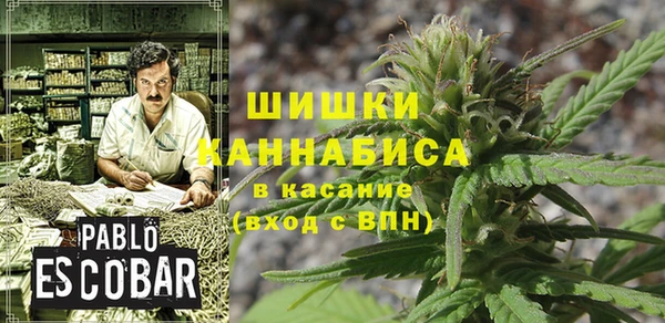 винт Алексин